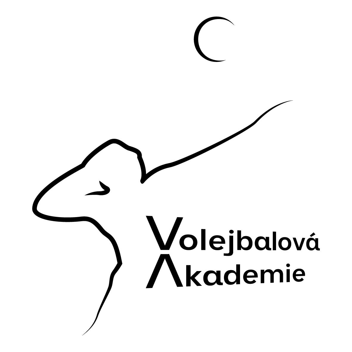Volejbalová akademie